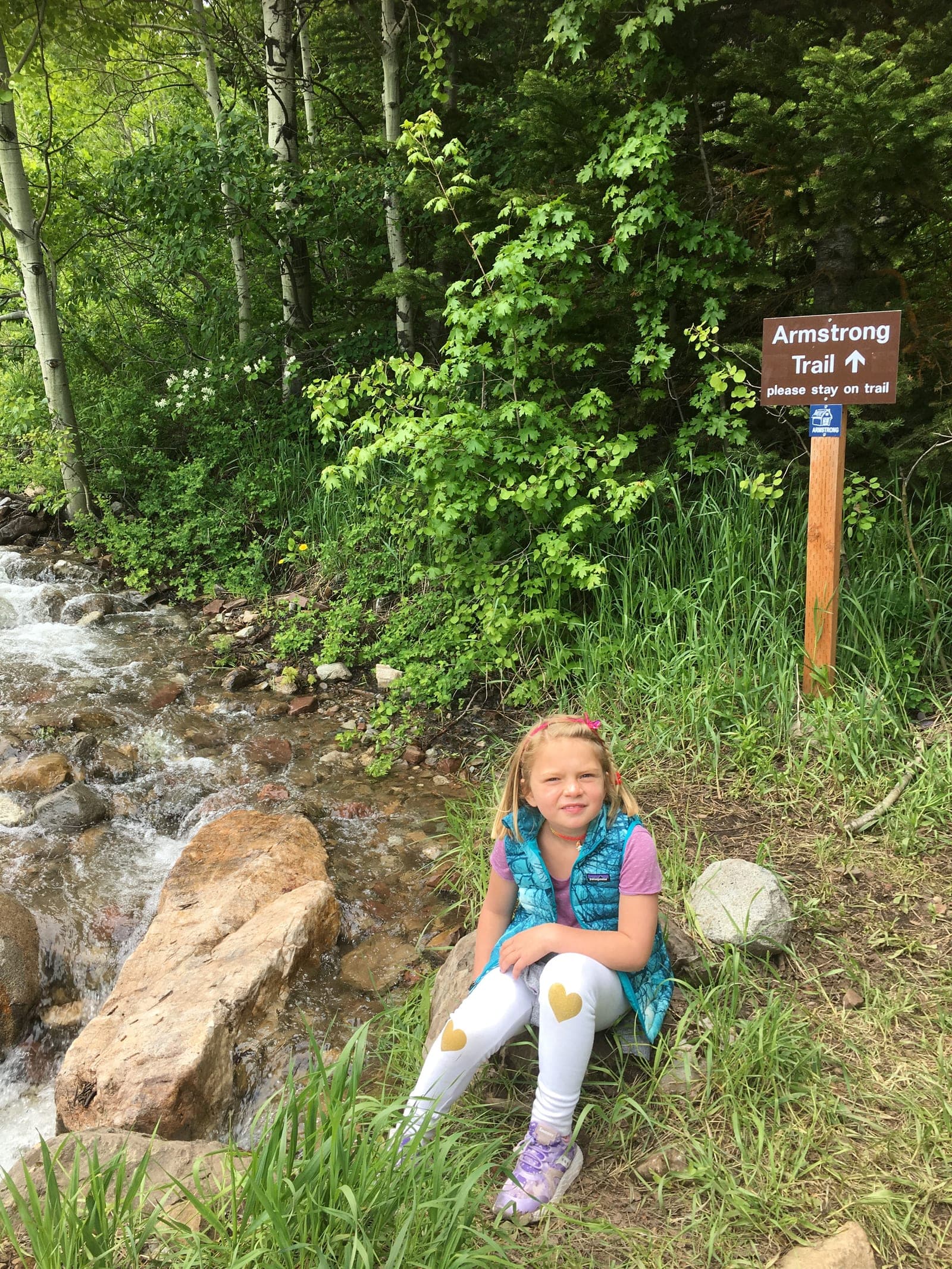 The Armstrong Trail sign beside a creek in summer greenery